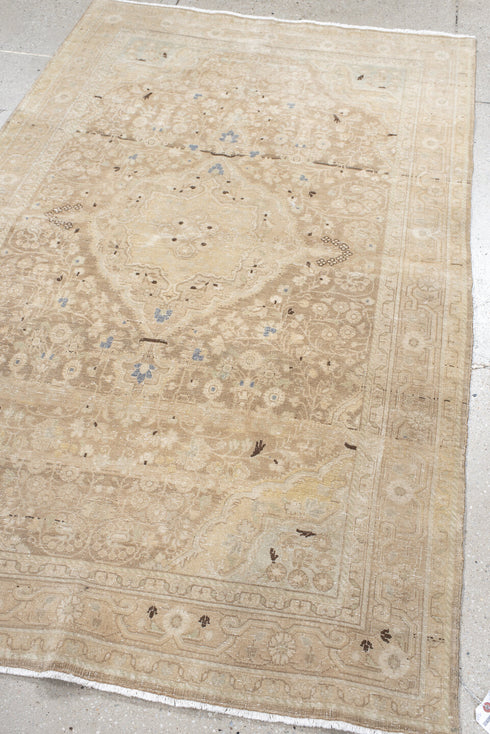 Antique Sarouk Area Rug (4' x 6')